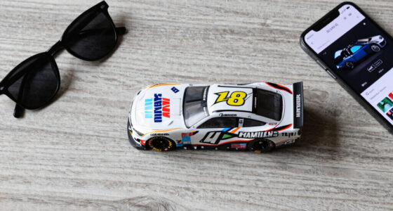 Michigan winner Denny Hamlin claims pole position at Chicagoland