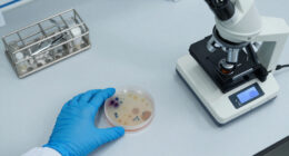 CDC Says These Superbugs Kill 50,000 Americans Per Year